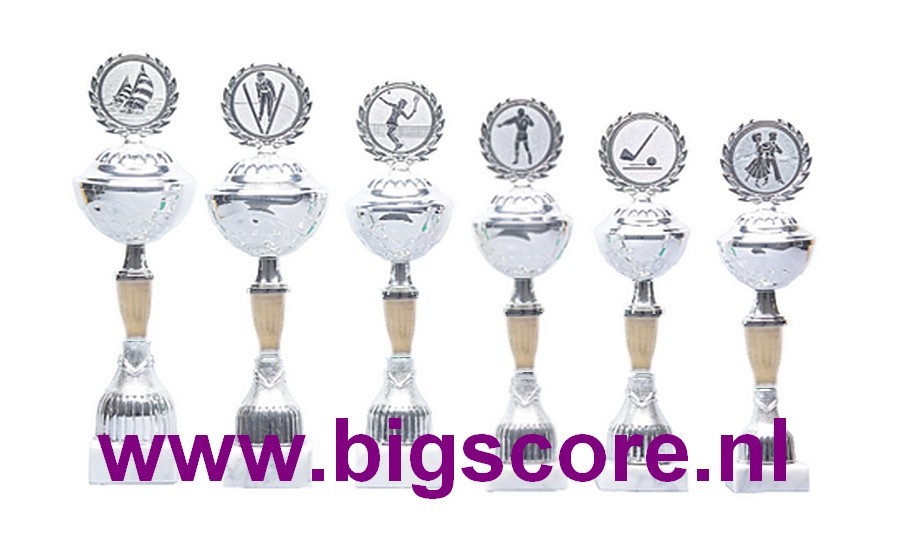 Z528 Beker Goud-Zilver